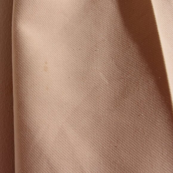 Alice + Olivia Dylan High Waist Wide Leg Pant Trousers Almond Pleated Size 2 - Picture 6 of 16